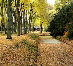 Wasserläufe auf dem Osterholzer Friedhof