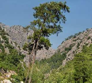 Bergwelt