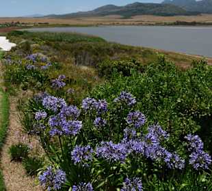 Arabella Golf Resort