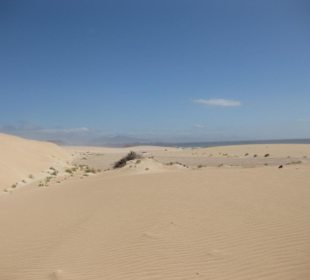 Dünen von Corralejo