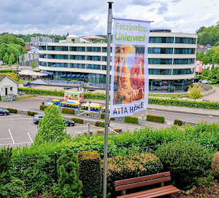 Blick vom Eingang 