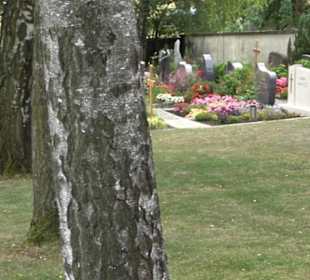 Friedhof Breitenholz