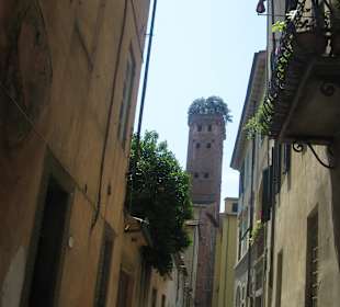 Torre Guinigi