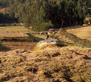 View into the woods from Saqsaywaman