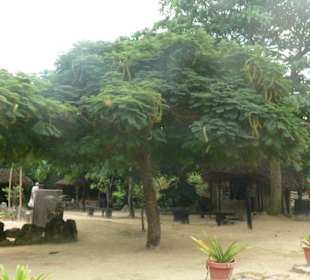 Manati park bavaro
