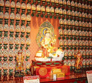 Buddha Zahn Relikt Tempel