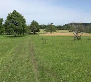 Premiumspazierweg Früchtetrauf-Leisawegle