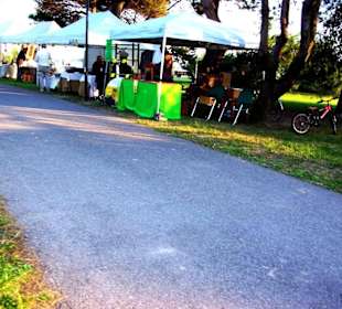 Radwege Lido dei Pini entlang Teerstrecken
