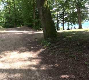 Wanderweg Märchensee Runde