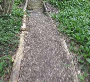Barfußpfad Firstwald