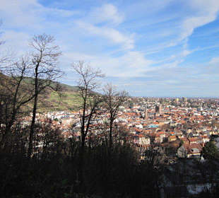 Blick auf Neustadt