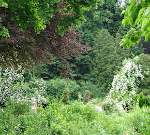 Fürstlich Fürstenbergische Parkanlage
