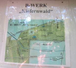 Kleiner Westwallweg bei Schaidt