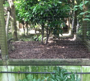 Zoo Heidelberg
