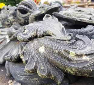 Seitlich aufgenommen, gehen hoch hervor