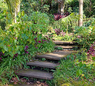 Monte Palace Tropical Garden