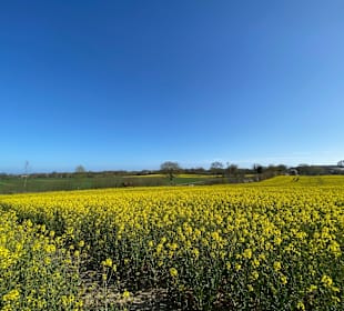 Stadtrundgang Travemünde