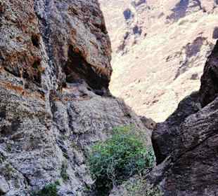 Tief in der Schlucht
