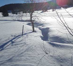 Dorf Herrenschwand, hat nur das Restaurant Waldfrieden