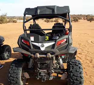 Buggy-Tour