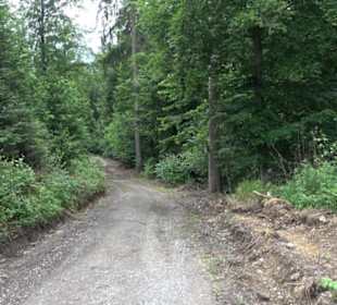 Schutzgebiet Spitzberg, Pfaffenberg