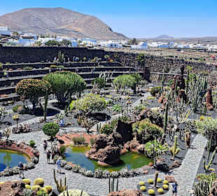 Jardin de Cactus / Kaktusgarten Guatiza