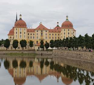 Schloss Moritzburg 