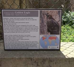 Malta Falconry Centre