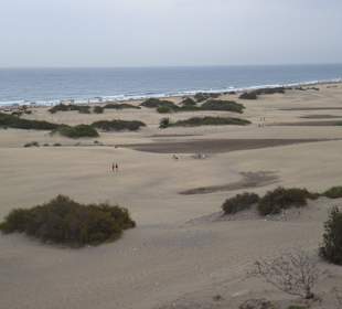 So viel Sand... die Dünen 