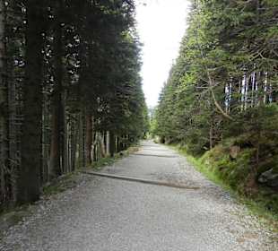 Karkonoski Park Narodowy
