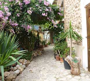 In Deia