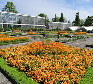 Rundgang durch den Berggarten Hannover