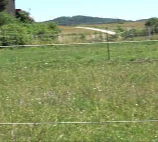 Ruine Hohengenkingen - Genkingen