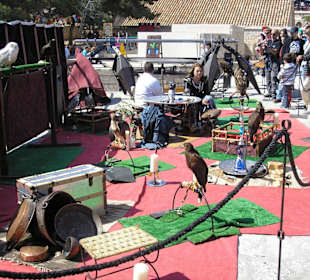 Mittelalterliches Burgfest