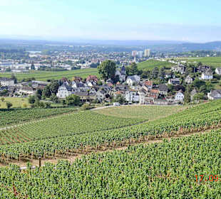 Ausblick auf Johannisberg
