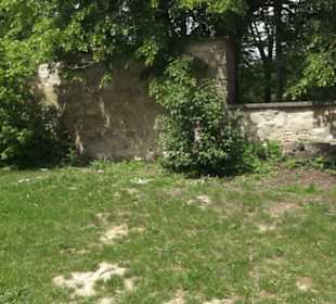 Benediktinerkloster Lorch