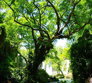 Düden der Wasserfall/Park