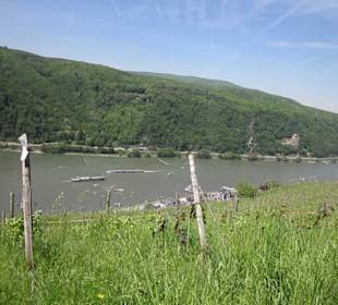 Impressionen Kräuterweg in Assmannshausen