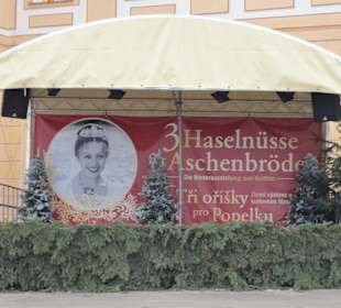 Ausstellung Aschenbrödel