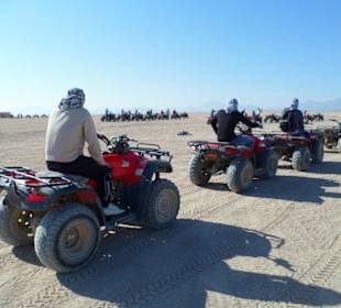 Quadtour mit Susi