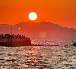 Strand Georgioupolis