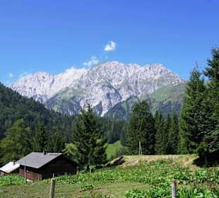 Die Berge im Hintergrund