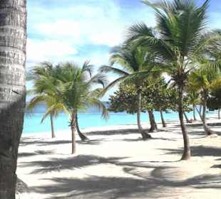 Ohne Worte - Catalina