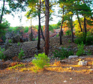 Sulahikulle - Vergessene Stadt