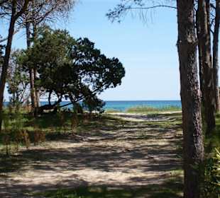 Strand Cala Ginepro