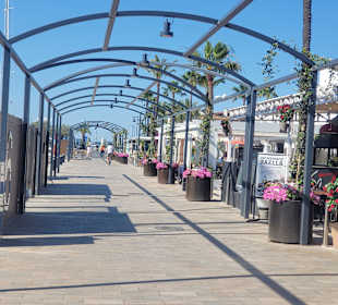 Stadtrundfahrt Alcudia