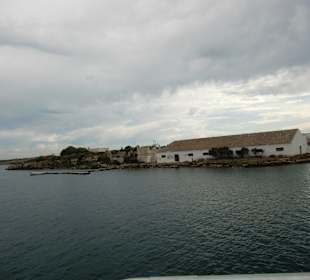 Hafenrundfahrt in Mahon