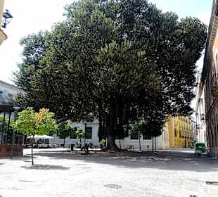 Stadtrundgang Jerez de la Frontera