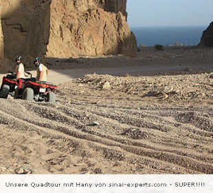 Quad Tour