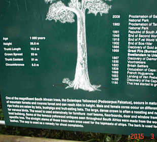 Tsitsikamma National Park